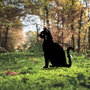 Aberto Design Objeto decorativo Cat 02 Negro